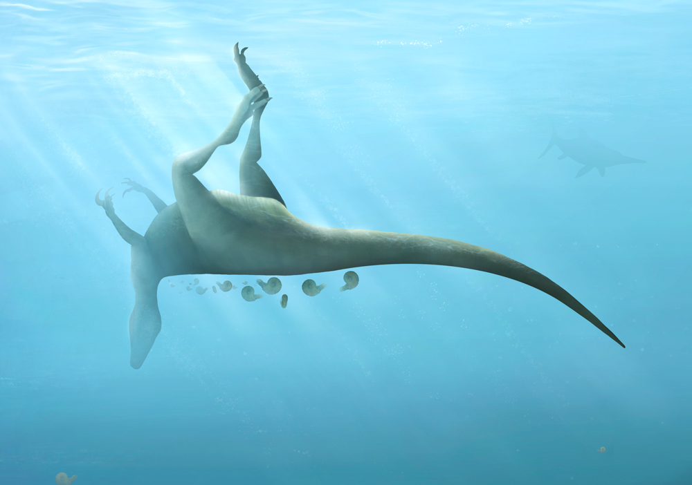 NEW SPECIES OF DINOSAUR DISCOVERED ON THE ISLE OF WIGHT