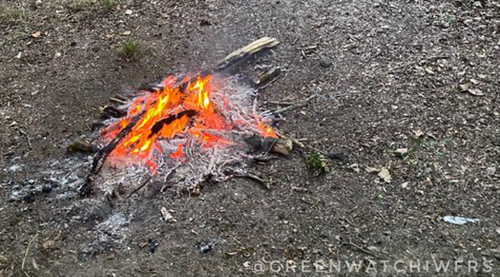 YOUTHS BLAMED FOR SETTING FIRE IN MEDINA ARBORETUM