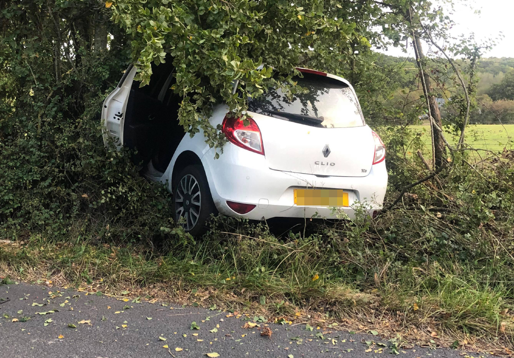 CAR CAREERS INTO HEDGE NEAR NEWTOWN