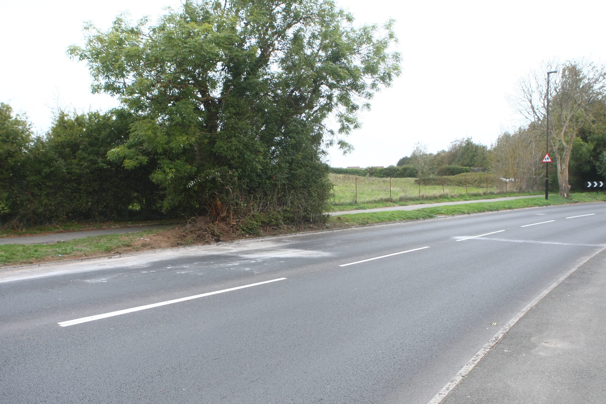 3 INJURED AFTER CAR CRASHES INTO TREE IN COWES OVERNIGHT