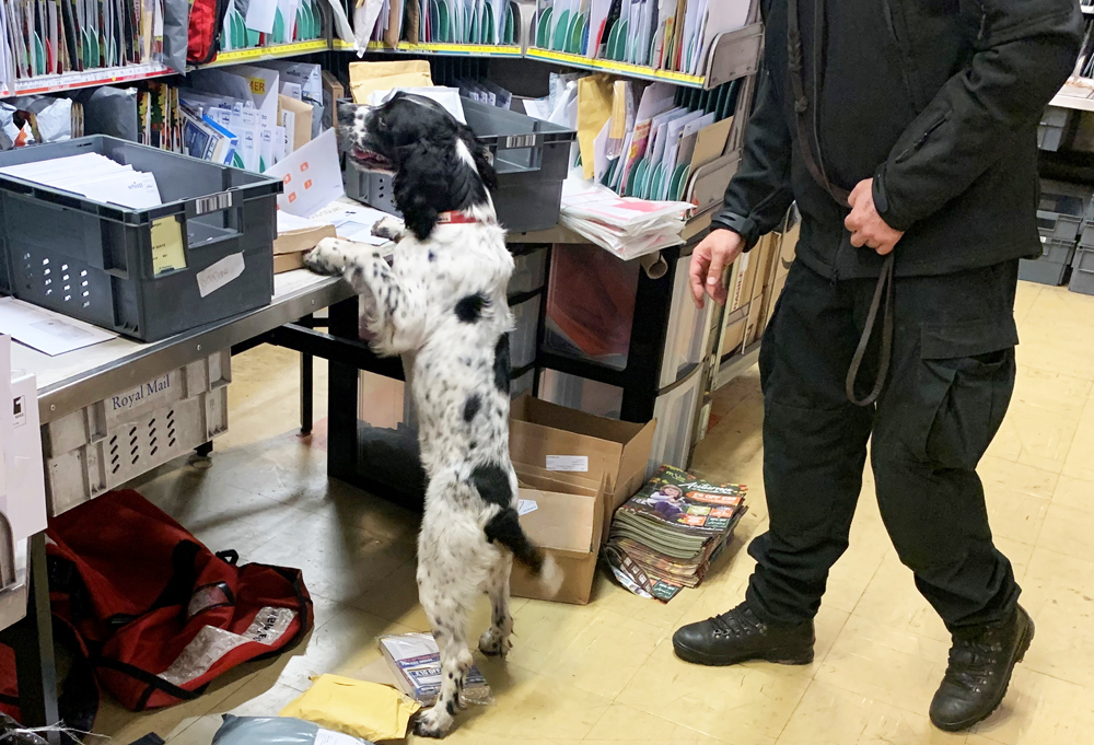 POLICE CARRY OUT CLASS A DRUG SEARCHES AT ROYAL MAIL DEPOTS