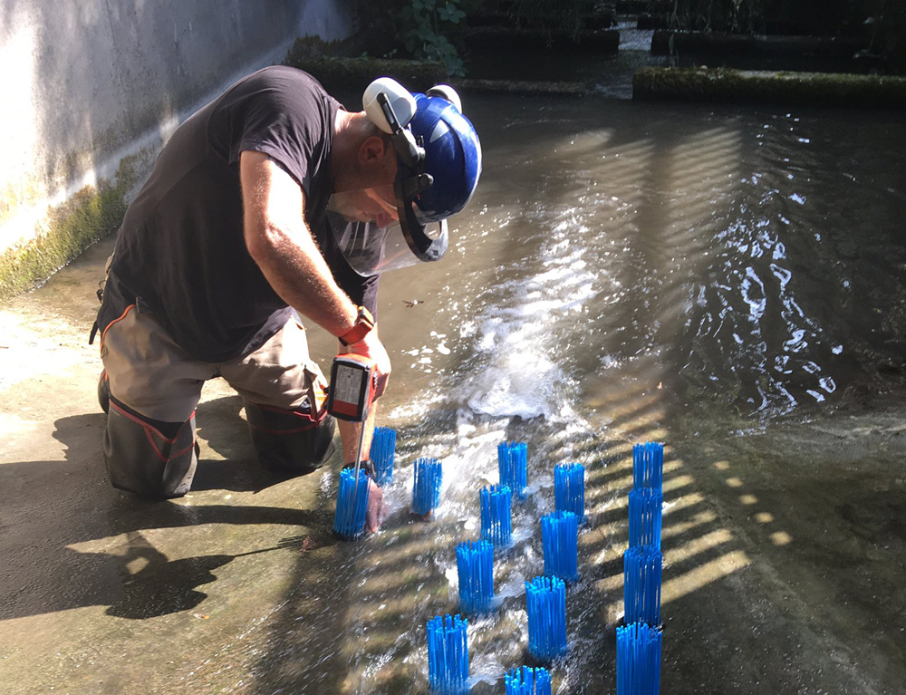 FISH GIVEN A HELPING HAND THANKS TO ENVIRONMENT AGENCY CLUSTERS