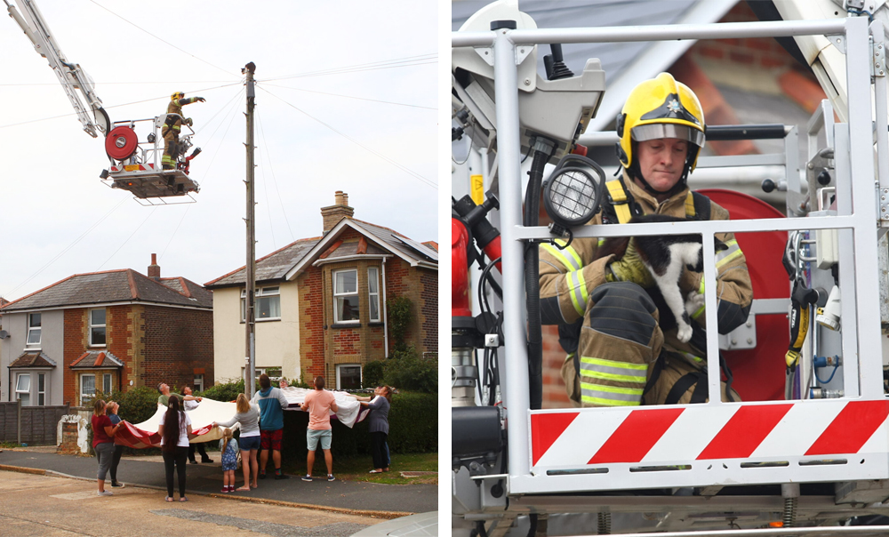 CAT-ASTROPHE AVERTED – FIREFIGHTERS RESCUE FELINE STUCK UP TELEGRAPH POLE