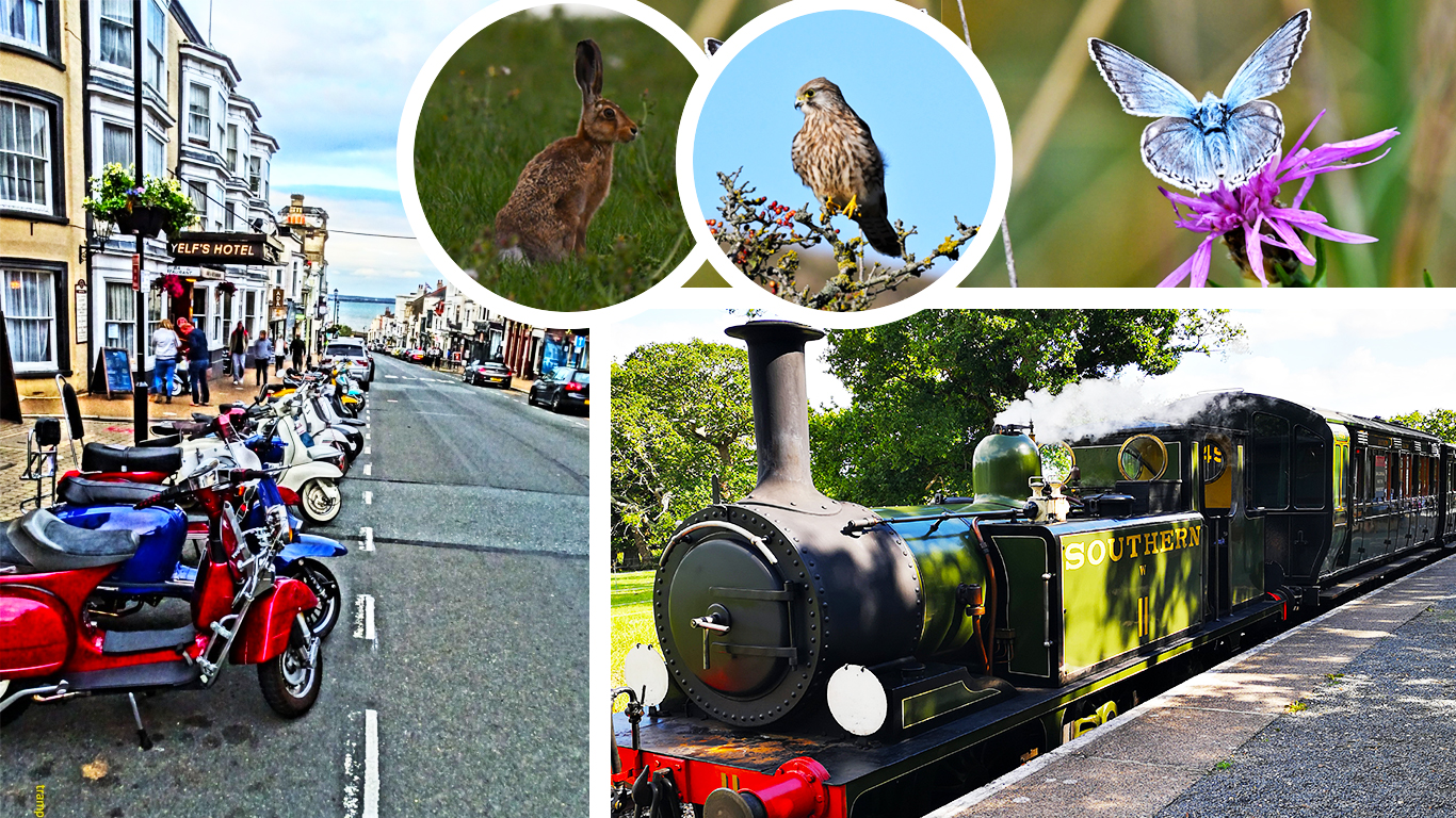 READERS’ GALLERY: 4TH SEPTEMBER 2020
