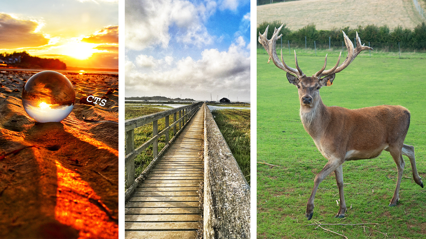 READERS’ GALLERY: 11TH SEPTEMBER 2020