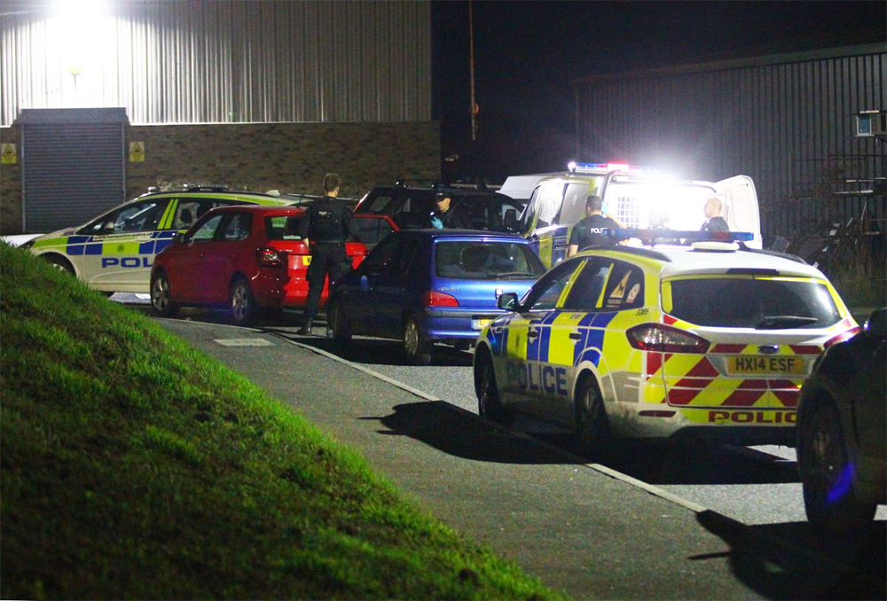 WOMAN ARRESTED ON SUSPICION OF STEALING CAR