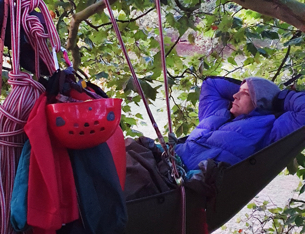 ISLAND TREE CLIMBERS SLEEP IN THE CANOPY FOR AN AMAZING CAUSE