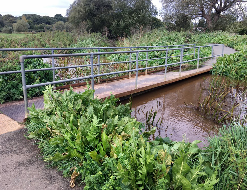 NEW BRIDGE AT ALVERSTONE GOOD NEWS FOR WALKERS, CYCLISTS AND HORSE RIDERS TOO