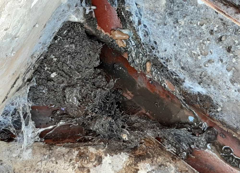 BLOCKAGE-BUSTING TEAM HELP CLEAR SEWERS ON THE ISLE OF WIGHT