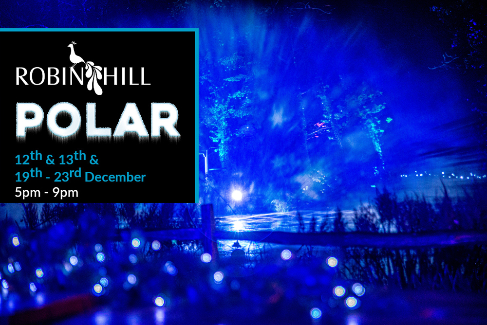 POLAR CHRISTMAS MAGIC TO RETURN TO ROBIN HILL FOR 2020