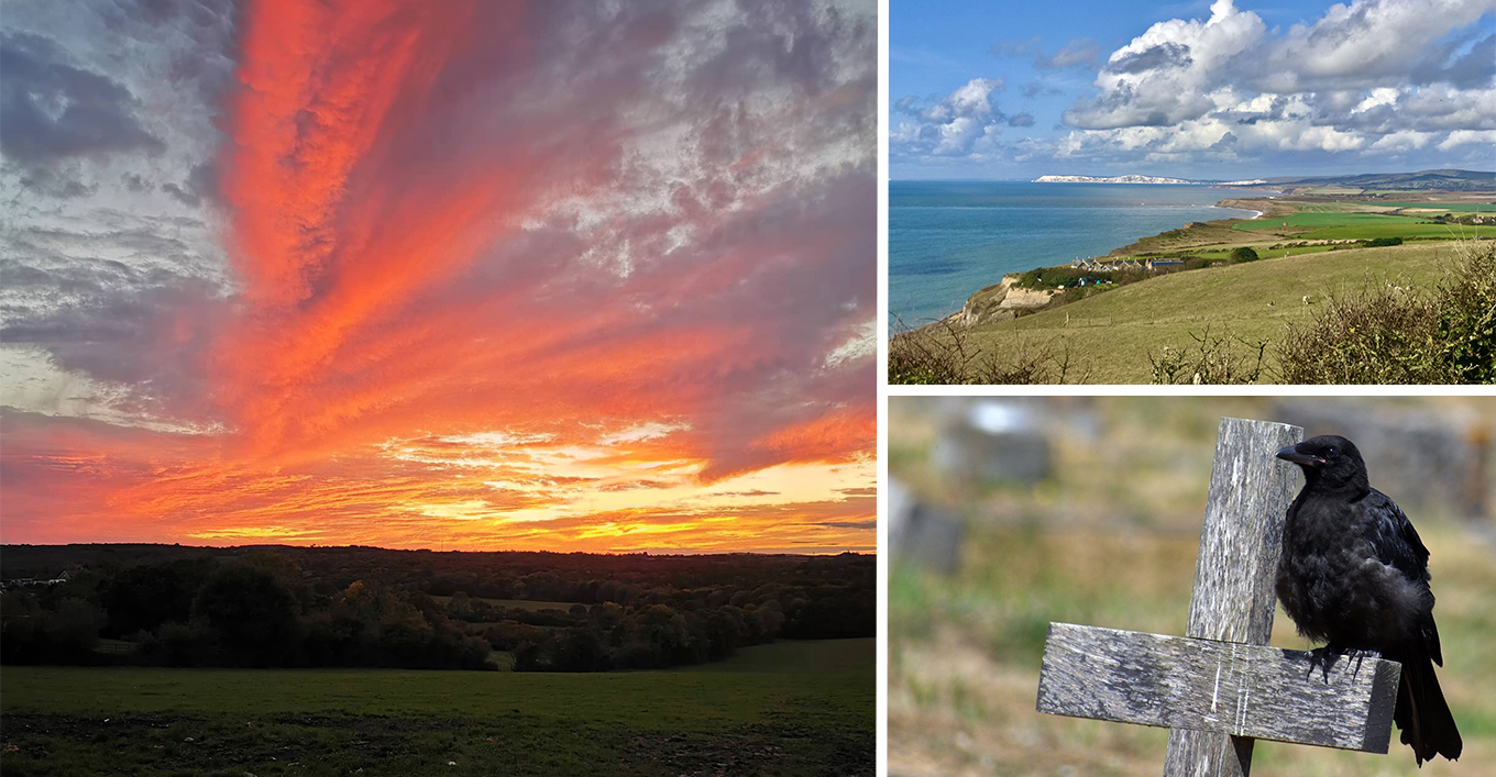 READERS’ GALLERY: 9TH OCTOBER 2020