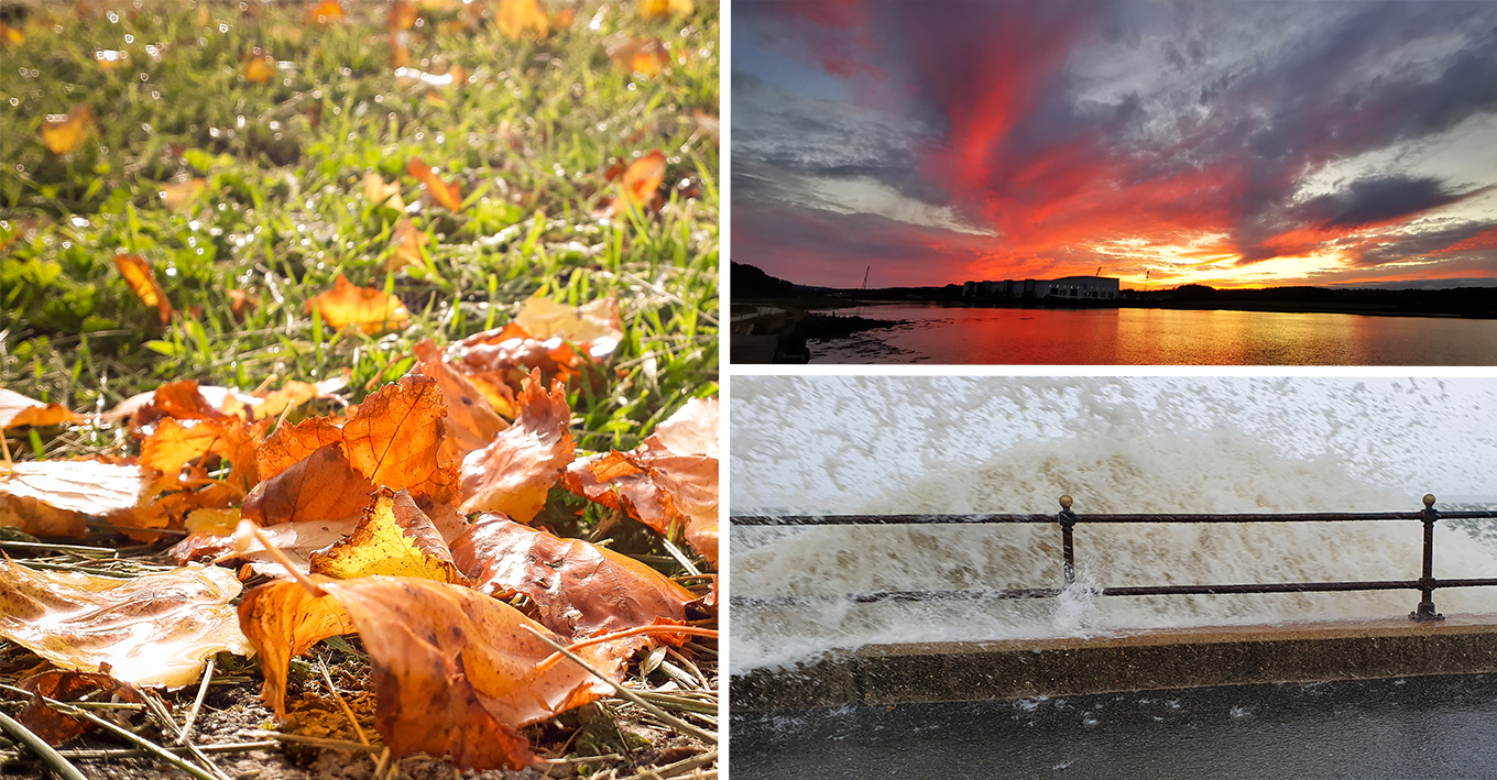 READERS’ GALLERY: 16TH OCTOBER 2020