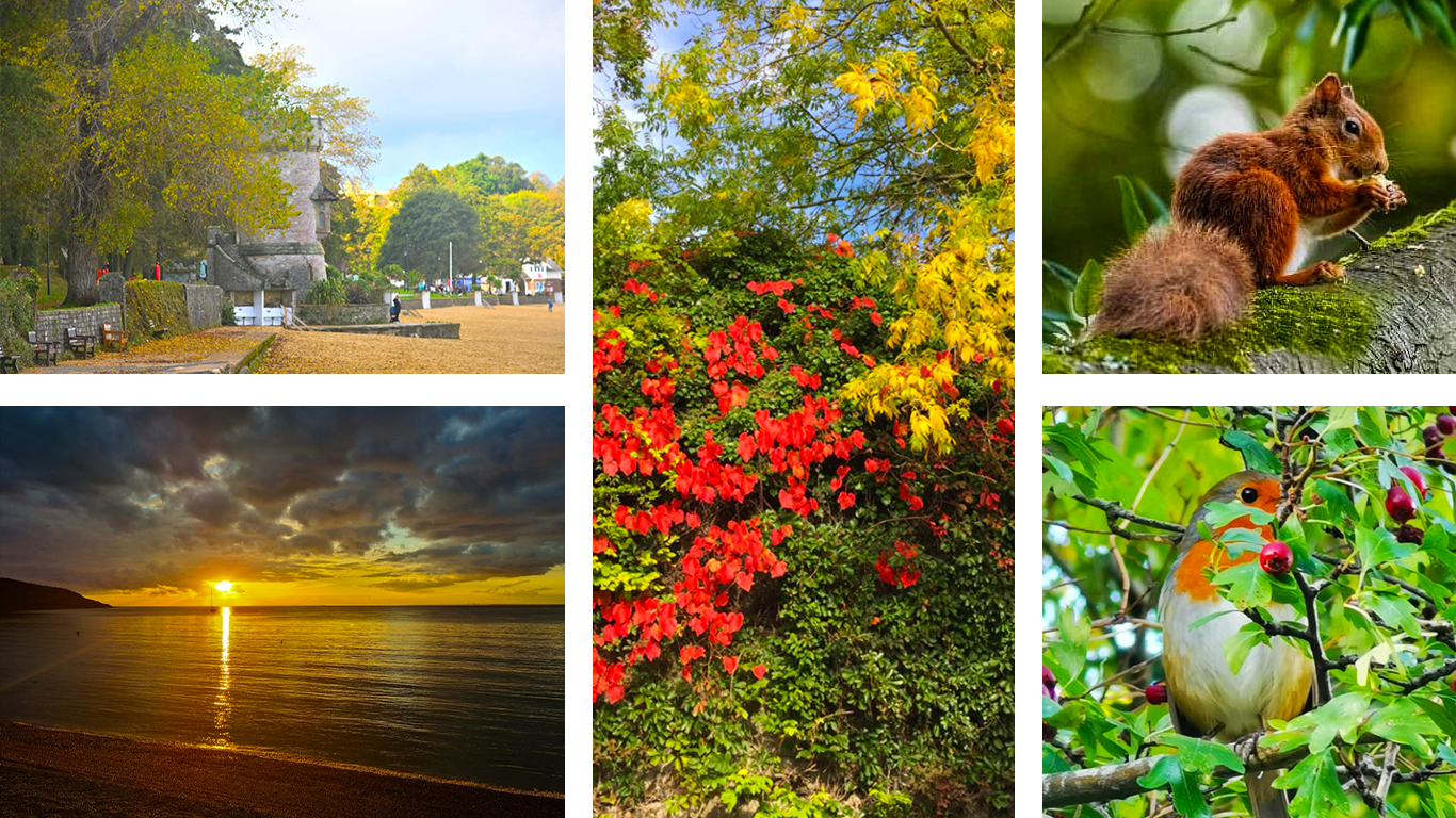 READERS’ GALLERY: 23RD OCTOBER 2020