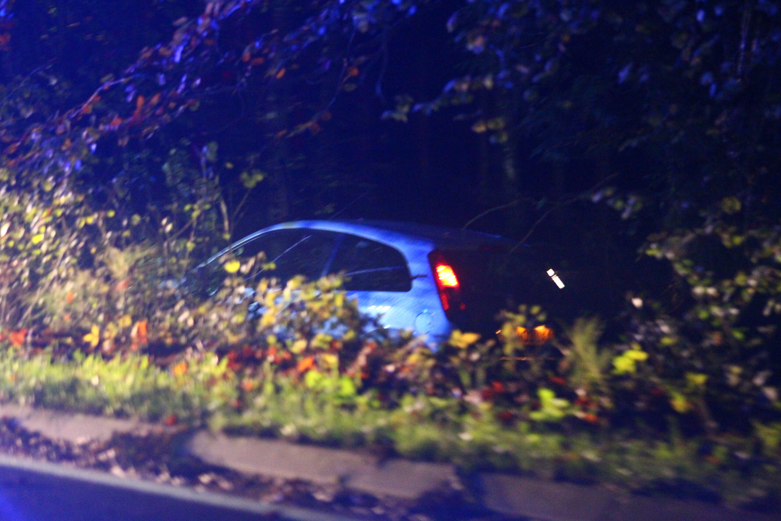 FIESTA CRASHES INTO WOODLAND ON BEAPER SHUTE