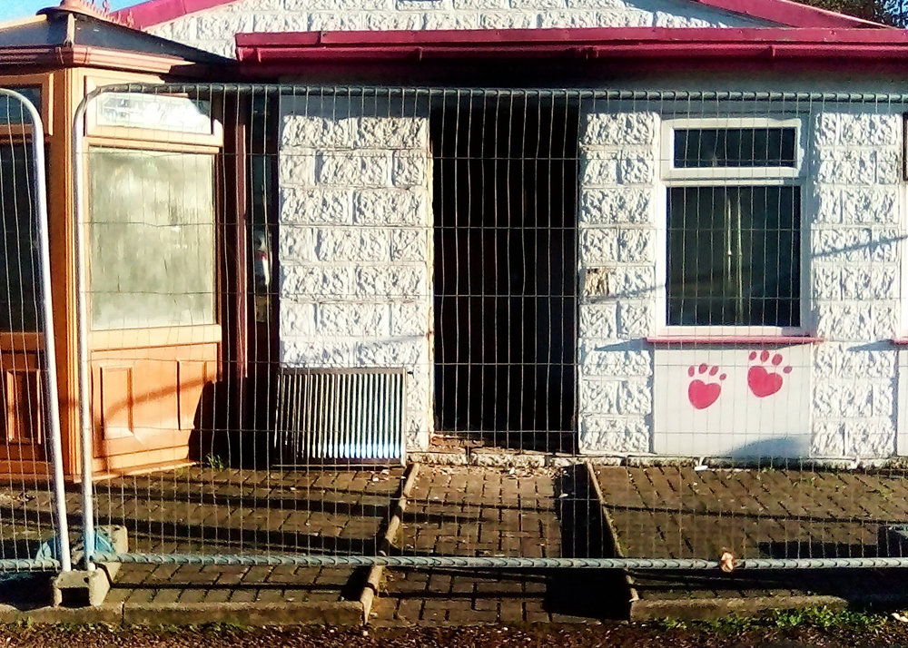 ARSON INVESTIGATION CONTINUES AFTER ‘PLANNED ATTACK’ ON FRIENDS OF THE ANIMALS