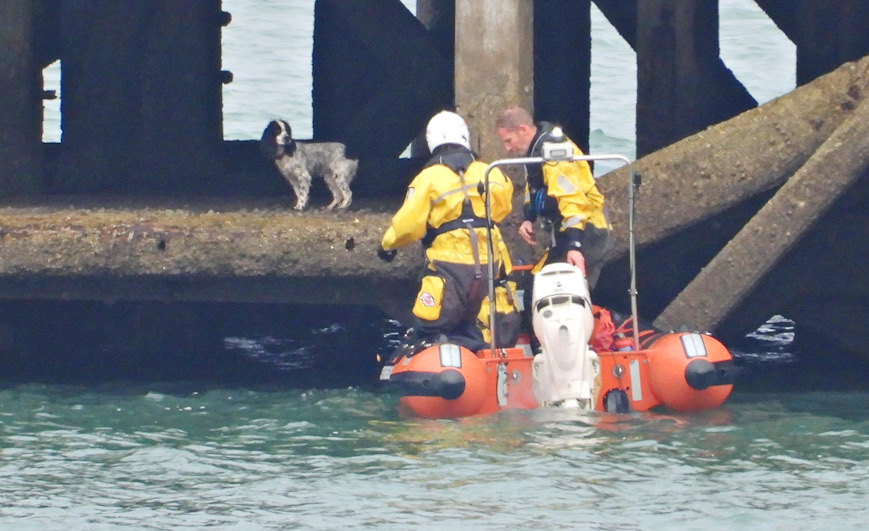 LOST DOG STUCK UNDER RYDE PIER RESCUED