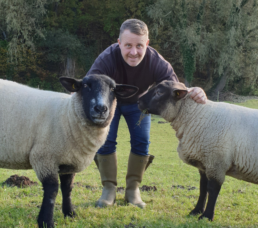ISLE OF WIGHT RSPCA HELP TO FACILITATE RE-HOMING OF SUPPORT SHEEP