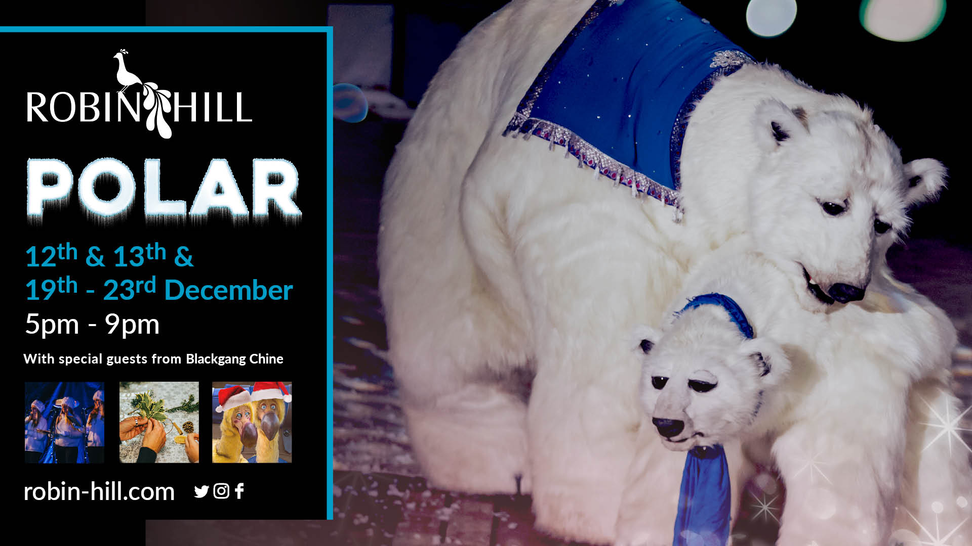 POLAR PLANS ARE STILL SPARKLING AT ROBIN HILL