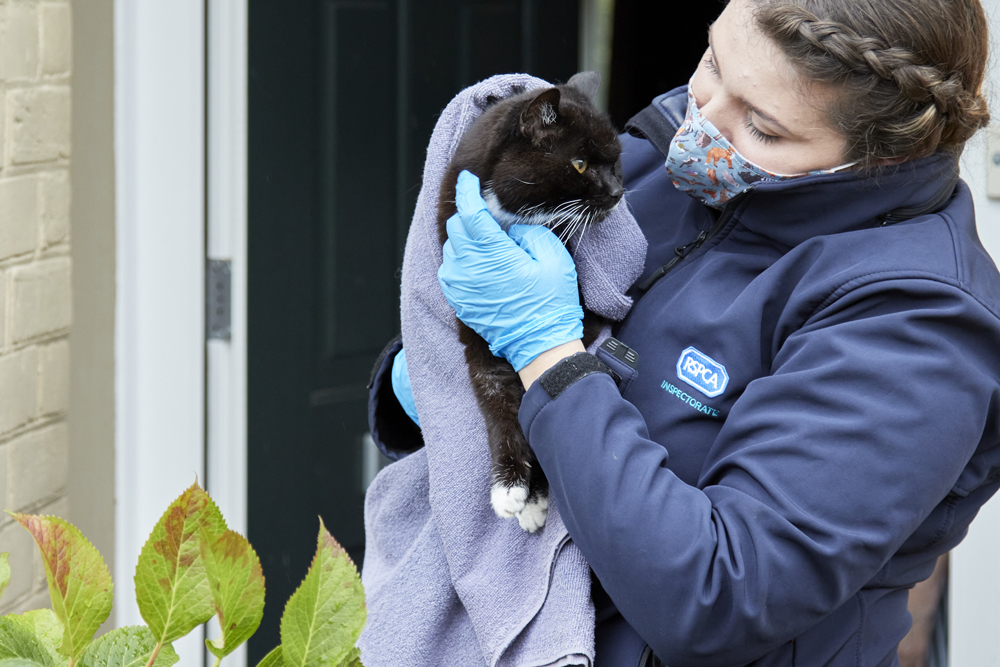 RSPCA LAUNCHES CAMPAIGN TO SAVE ANIMALS THIS CHRISTMAS
