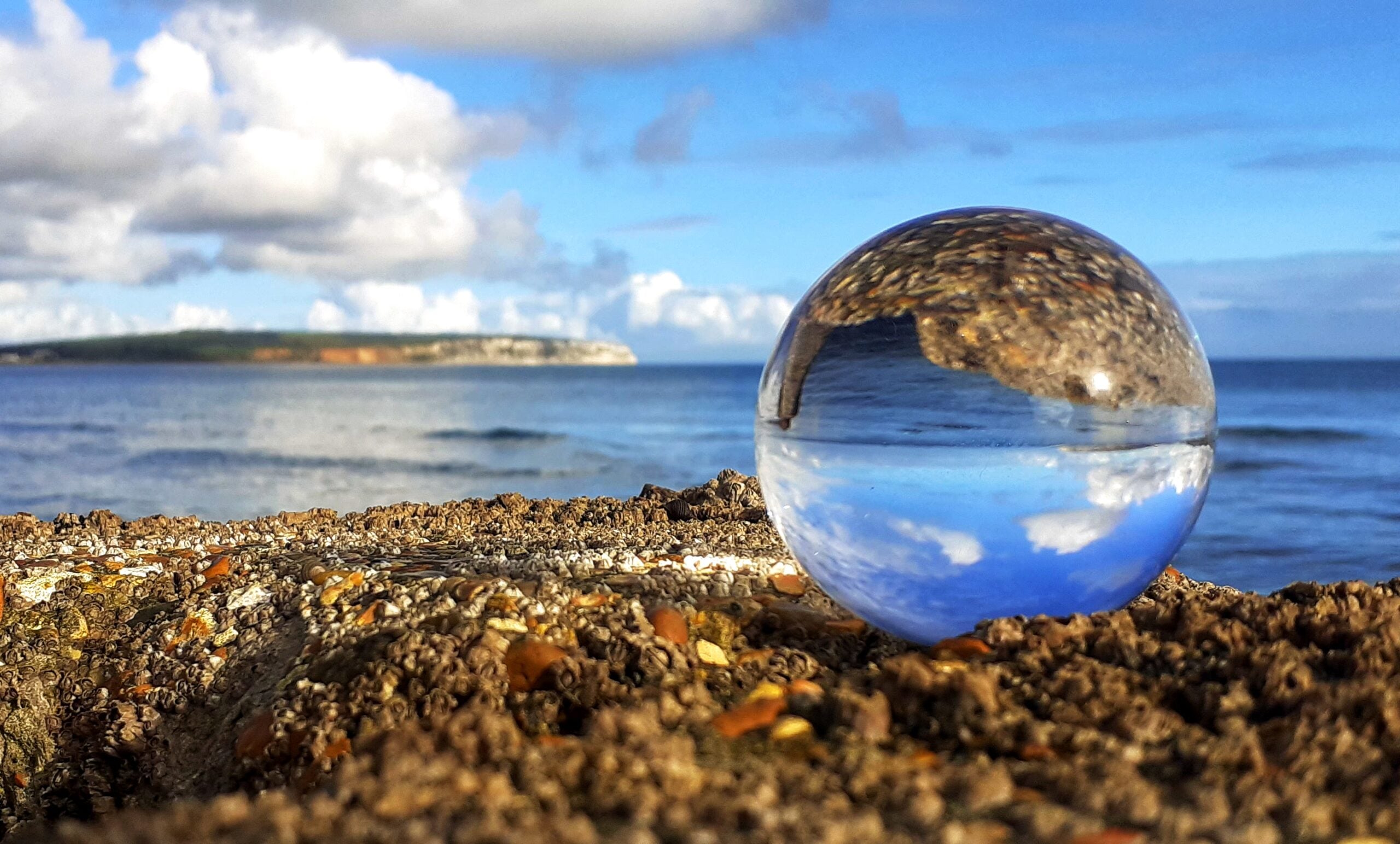 READERS GALLERY: 20TH NOVEMBER 2020