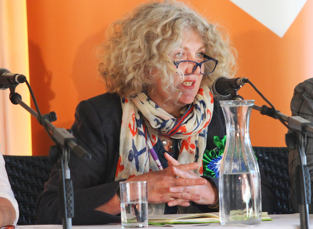 COUNCILLOR VOTES AGAINST OWN MOTION AFTER IT IS CHANGED BY COUNCIL LEADER