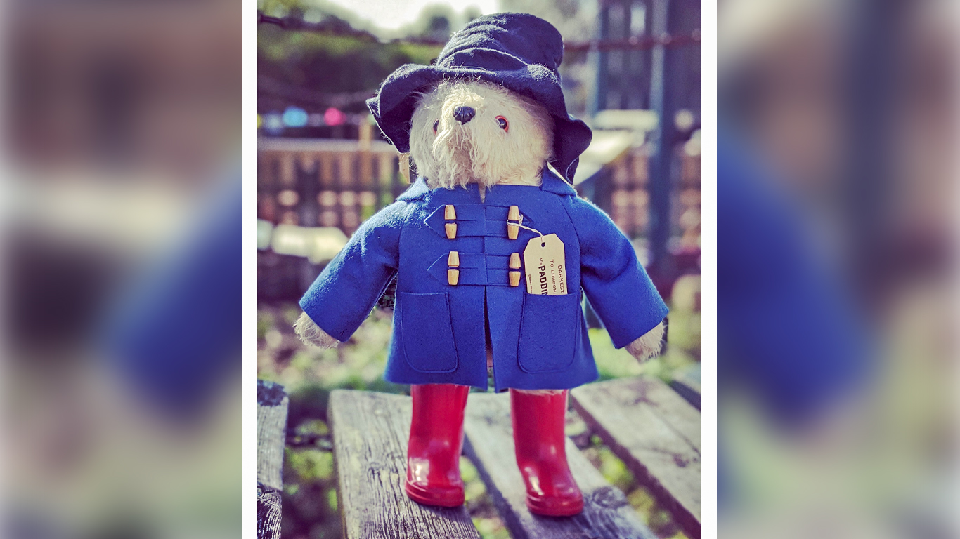PADDINGTON BEAR HOMELESS FOR ANOTHER MONTH – HRD’S NOVEMBER AUCTION CANCELLED