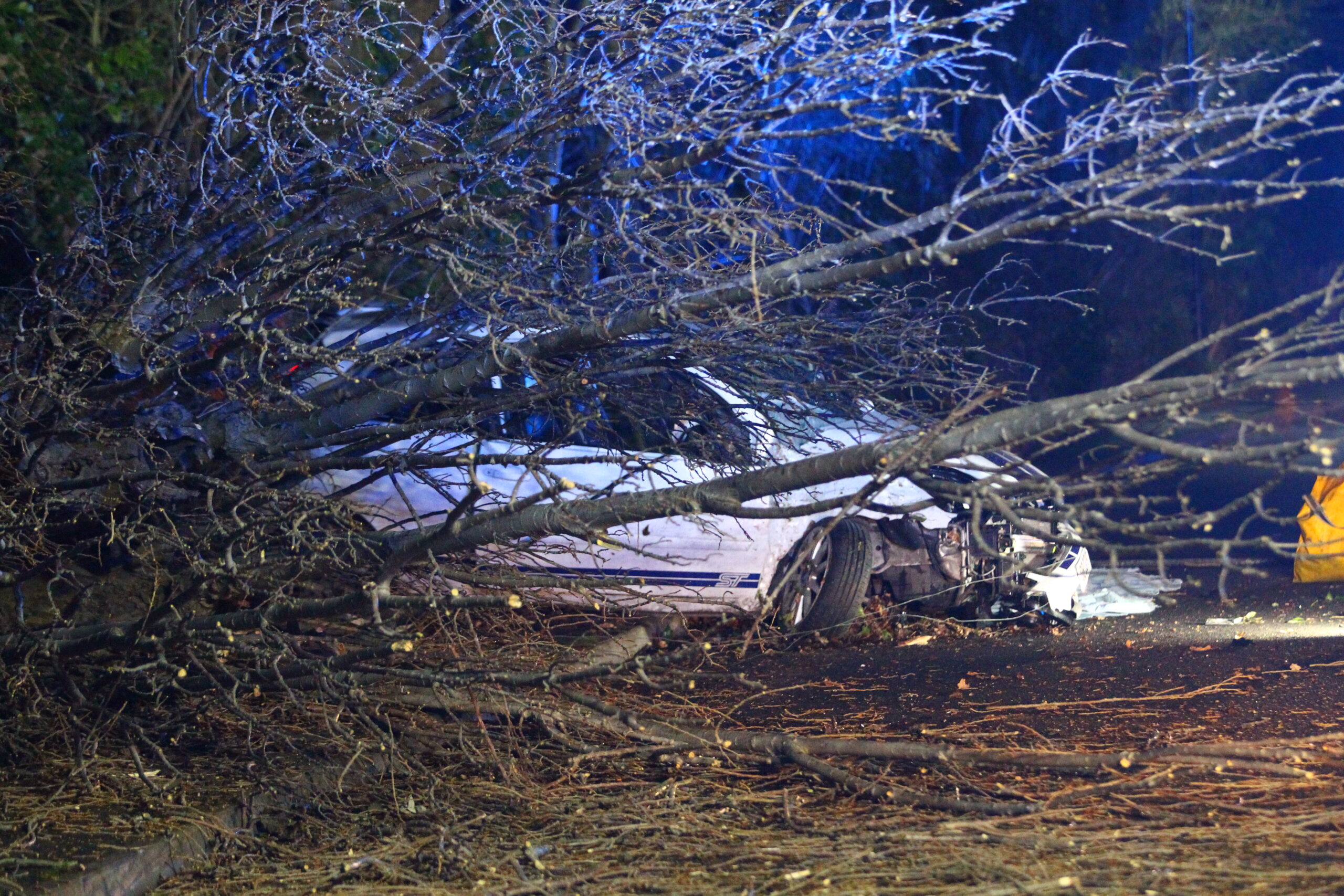CAR CRASHES INTO TREE ON MAIN ROAD TO NETTLESTONE