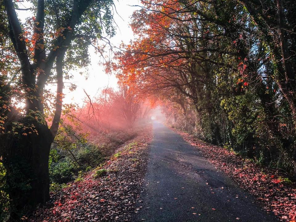 READERS GALLERY: 4TH DECEMBER 2020