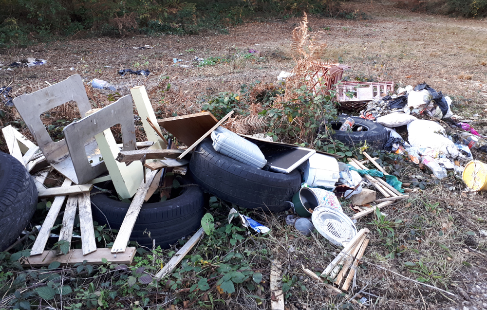 FLY-TIPPING AT BRIDDLESFORD WOODS DAMAGING THE ISLAND’S PRECIOUS NATURE RESERVE