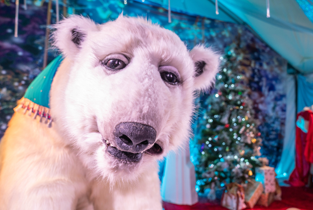 CHRISTMAS MAGIC IS BROUGHT TO LIFE AT ROBIN HILL’S POLAR