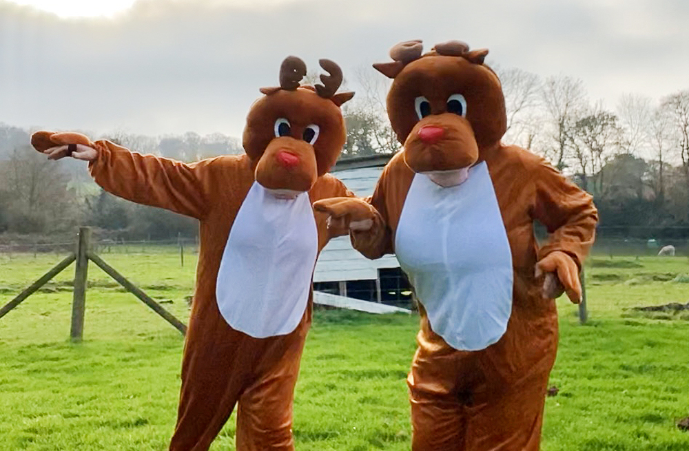 SISTERS TO GO FROM PIER TO PIER IN CHRISTMAS DAY REINDEER RUN