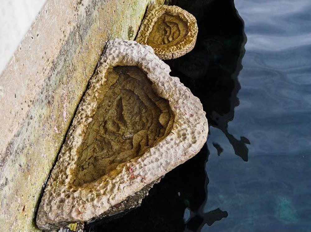 ARTECOLOGY BRING THE ROCK BACK TO LIFE WITH MEDITERRANEAN VERTIPOOLS