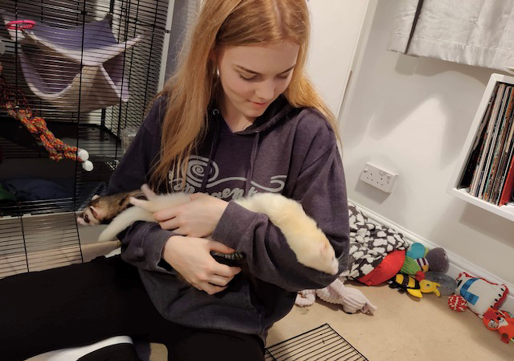 GODSHILL ANIMAL CENTRE FINDS LOVING HOMES FOR PETS IN NEED