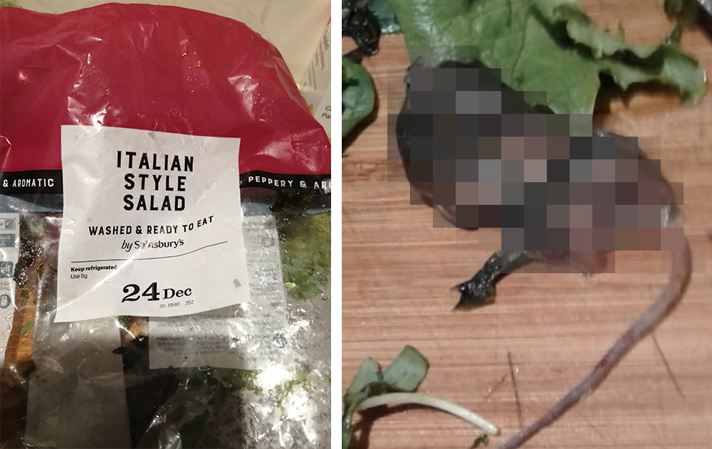 DEAD MOUSE IN SAINSBURY’S SALAD AN UNWANTED GIFT FOR ISLAND FAMILY