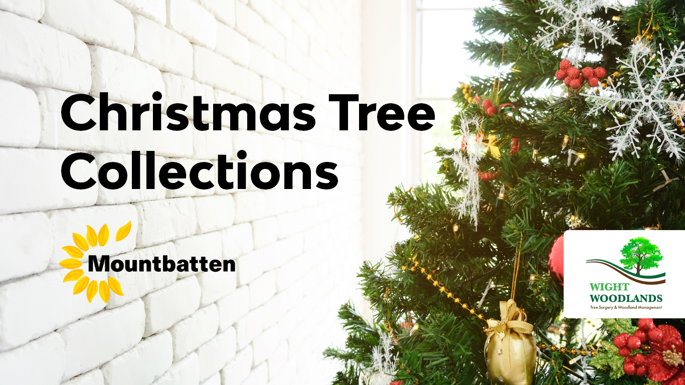 GET RID OF YOUR CHRISTMAS TREE AND SUPPORT THE LOCAL HOSPICE