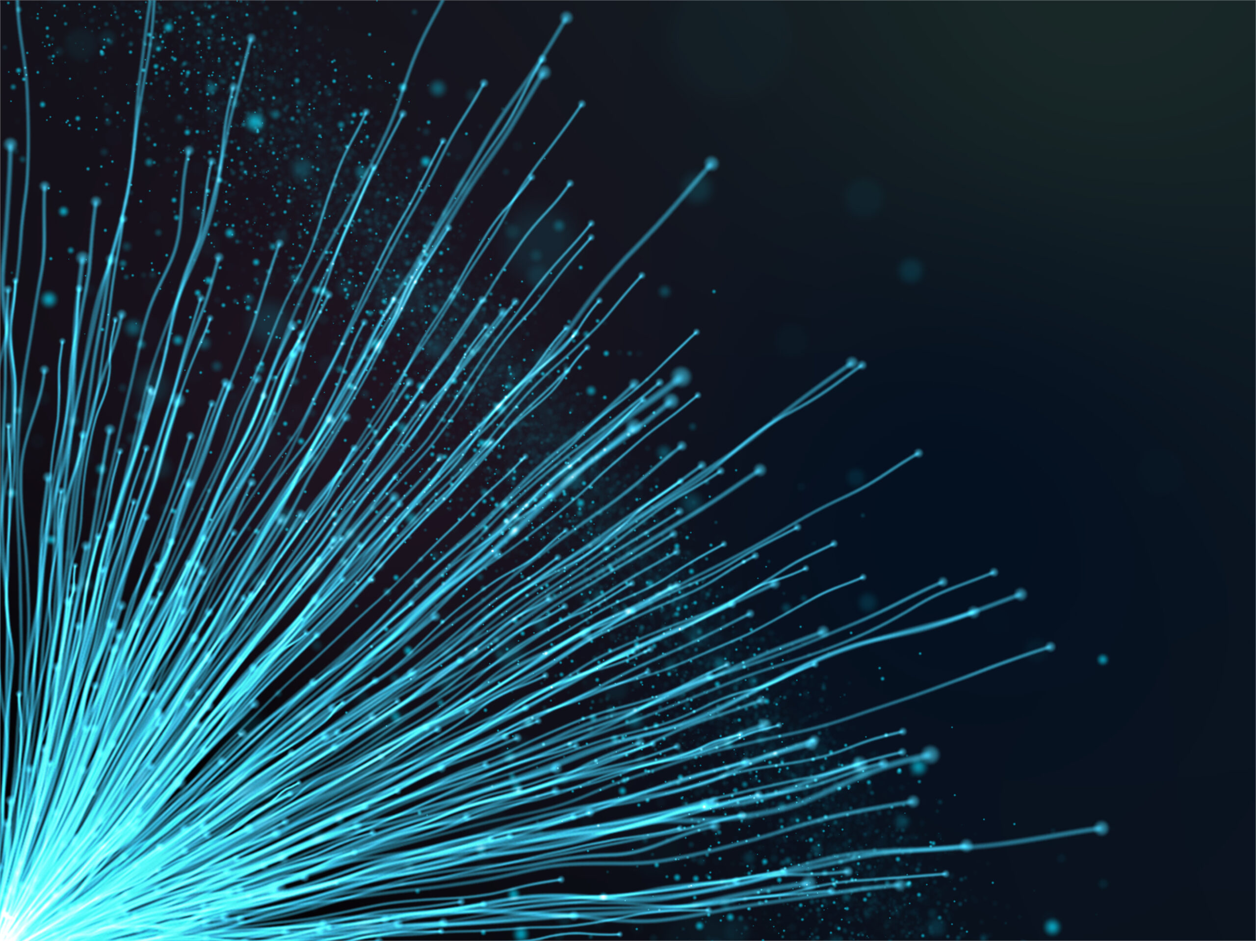 FAST FIBRE AND BINGO SLOTS WORTH MORE THAN MEETS THE EYE