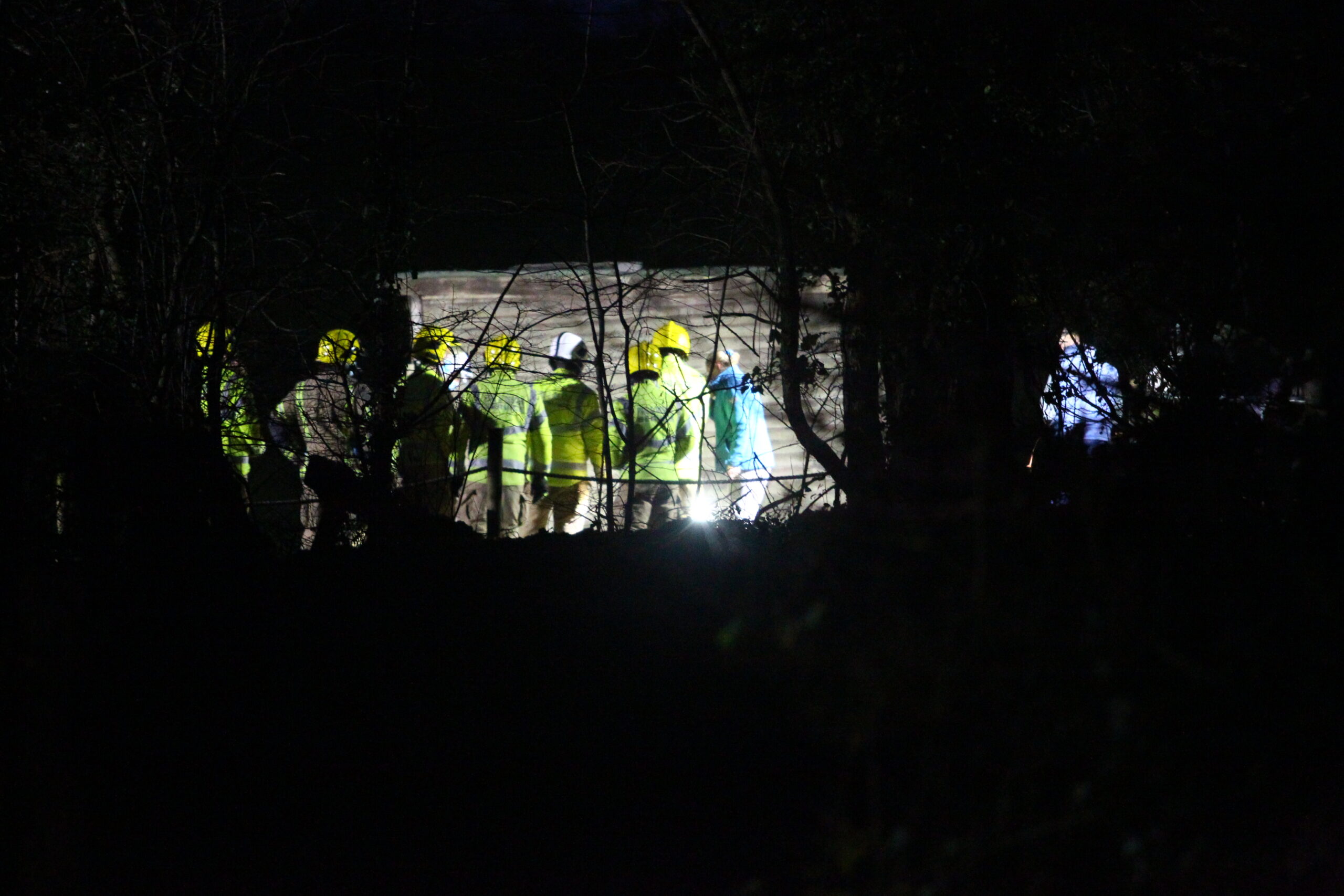 RESCUE OF HORSE IN DITCH NEAR NETTLESTONE