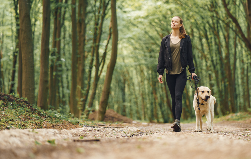 RSPCA WELCOMES NEW GUIDANCE ON DOG WALKING DURING LOCKDOWN