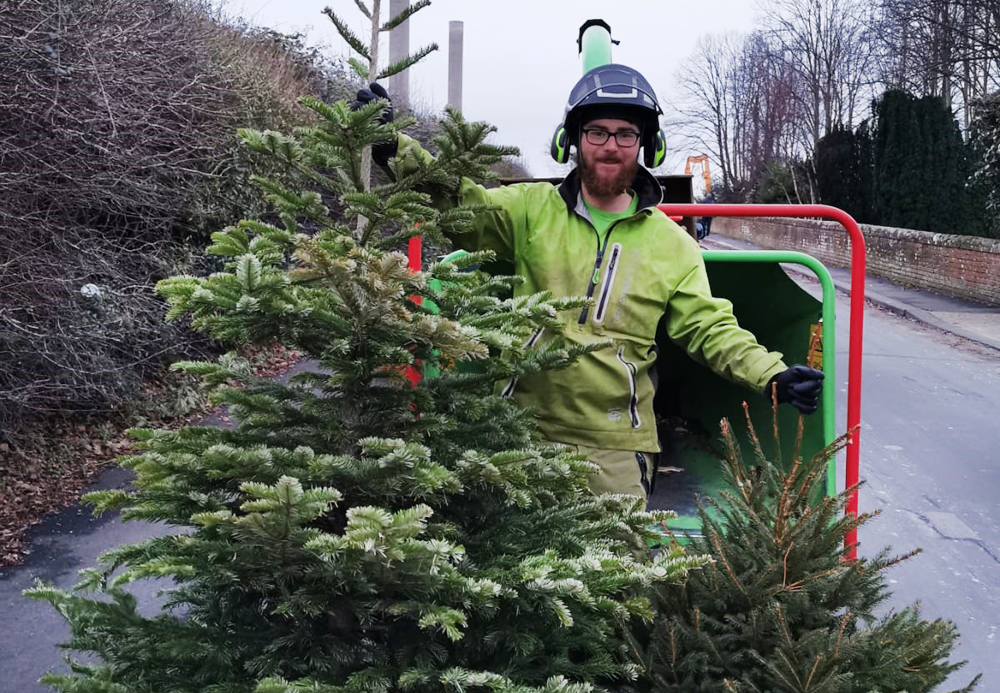 LOCAL FIRM’S REAL CHRISTMAS TREE COLLECTION SERVICE RAISES £800 FOR CHARITY