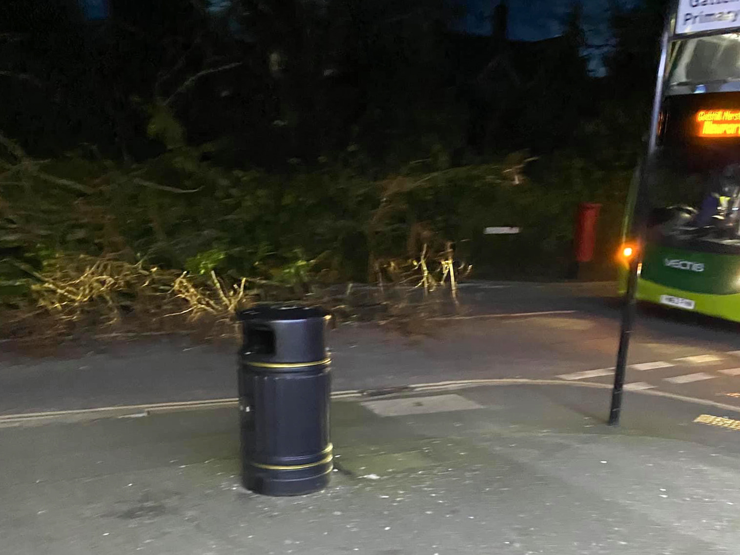 FALLEN TREE BLOCKS BUSY ROAD IN SHANKLIN