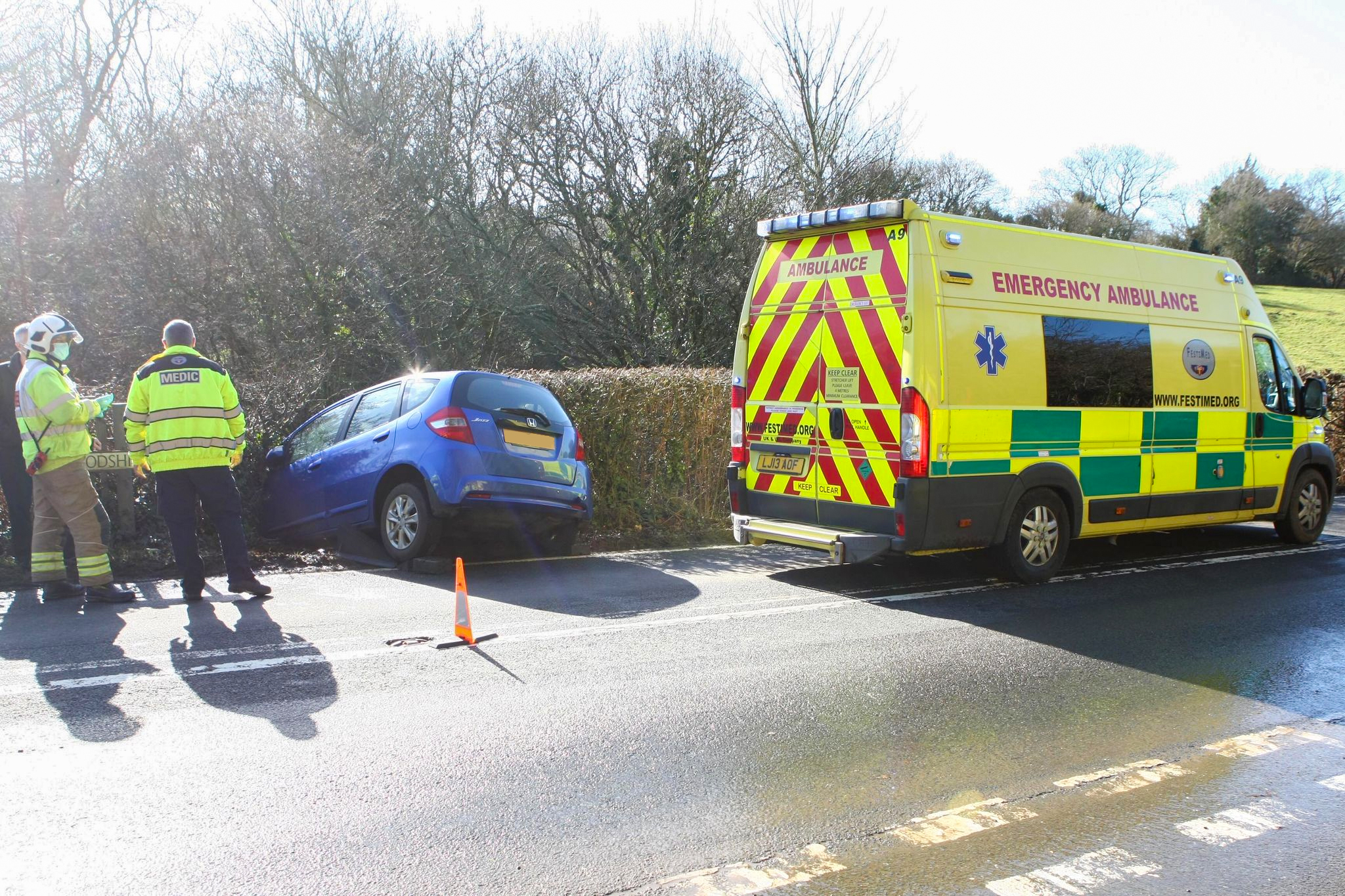 FIRE CREWS CALLED AS CAR CRASHES INTO HEDGE NEAR SHANKLIN