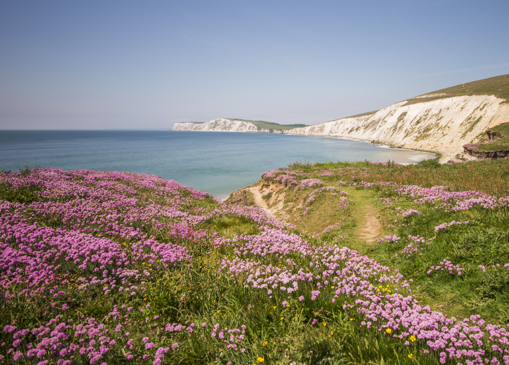 ISLE OF WIGHT LAUNCHES FIRST FILM OFFICE WITH AIM OF CREATING A STATE-OF-THE-ART STUDIO