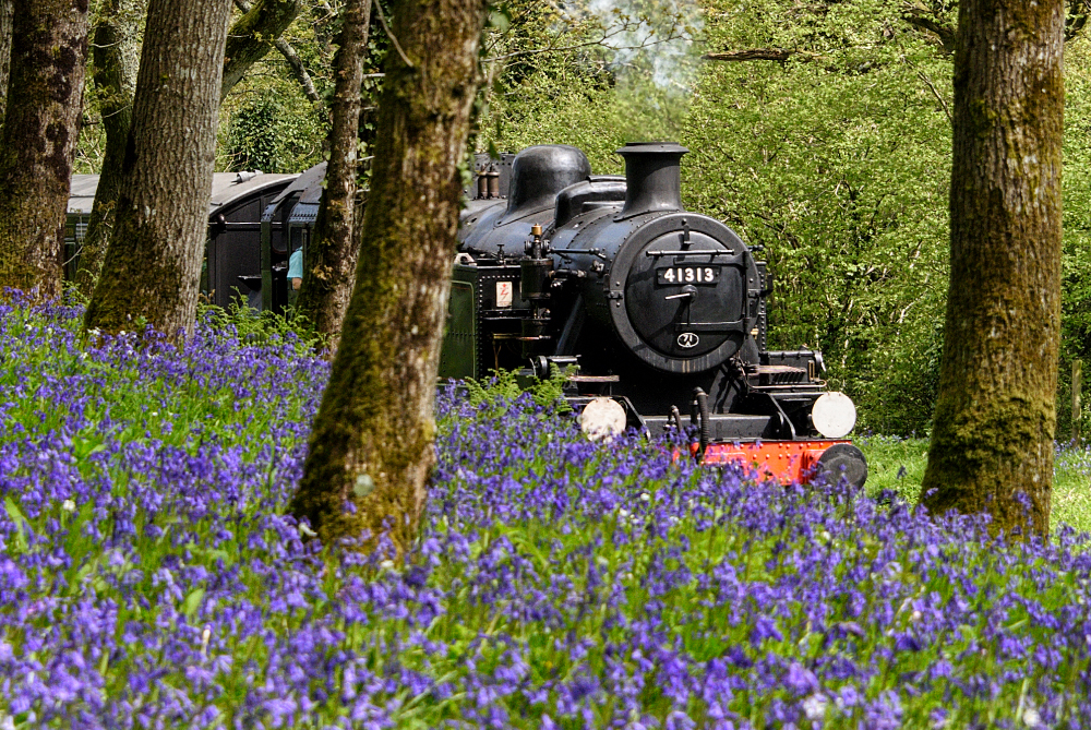IT’S FULL STEAM AHEAD AT HAVENSTREET FOR ATTRACTION’S RE-OPENING