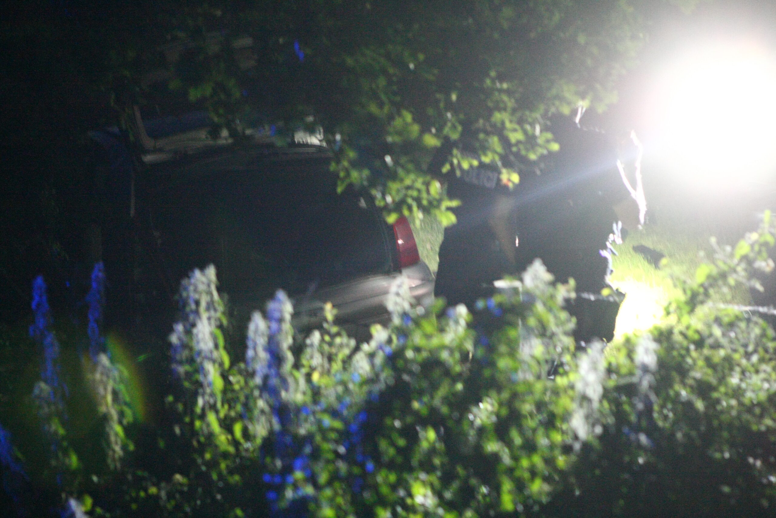 DRUG DRIVER BANNED AFTER ROLLING CAR INTO FIELD NEAR RYDE