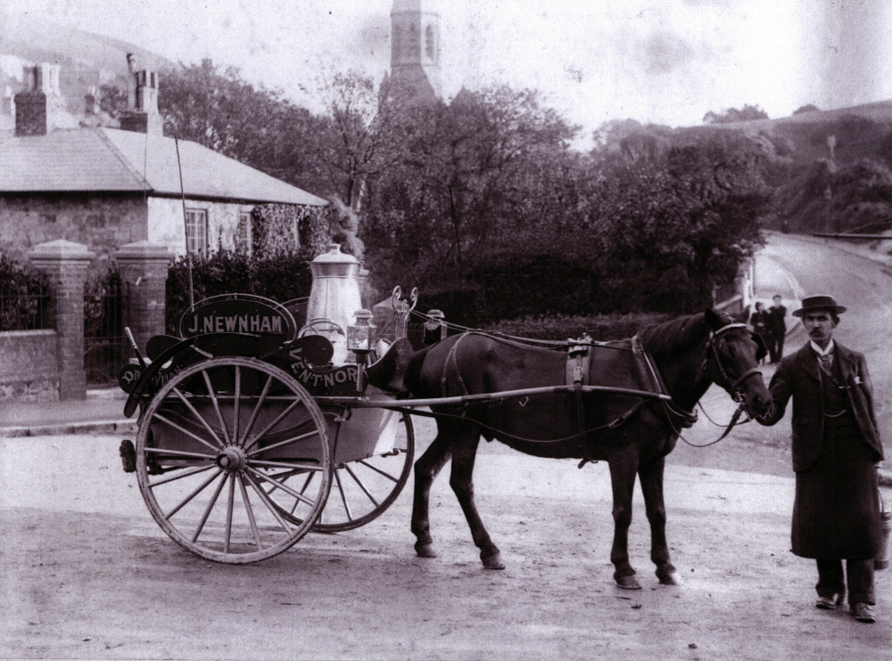 PHOTOS REVEAL HOW VENTNOR AND THE UNDERCLIFF LOOKED IN THE PAST