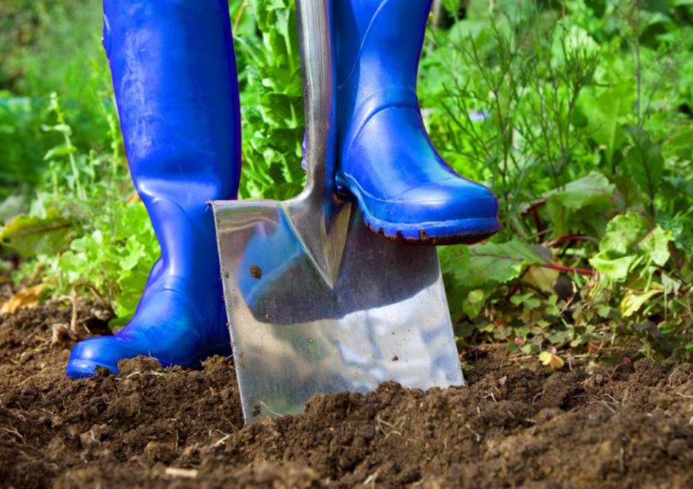 SSEN ENCOURAGES GARDENERS TO CLICK BEFORE THEY DIG THIS EASTER