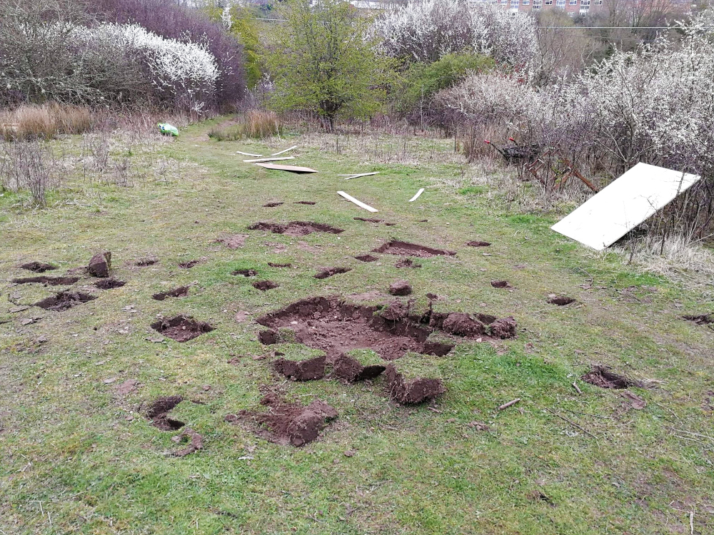 ‘DEPRESSING HAVOC’ – GREEN SPACE VANDALISED BY GROUP OF YOUTHS IN RYDE