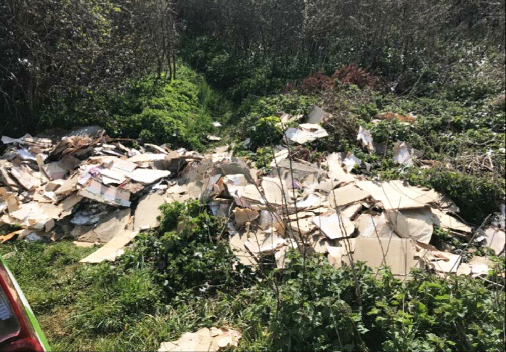 PLASTERBOARD AMONGST PILE OF RUBBISH FLY-TIPPED IN SOUTH WIGHT COUNTRYSIDE