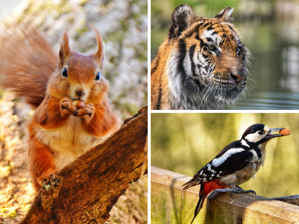 READERS’ GALLERY: 30TH APRIL 2021