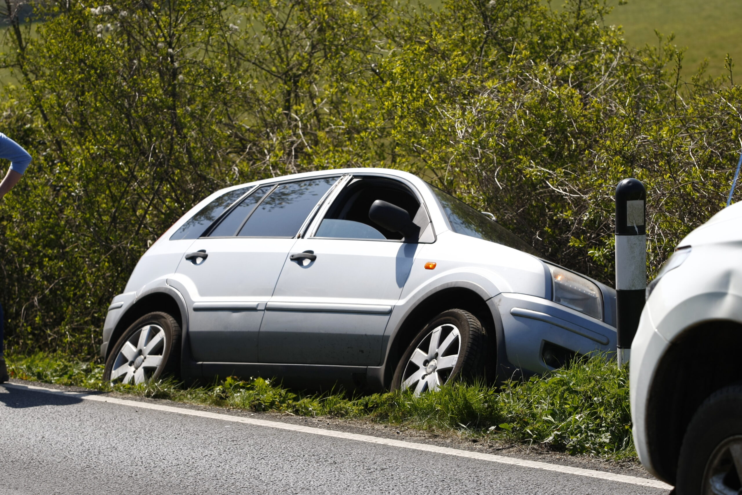 CAR IN DITCH AFTER DRIVER DISTRACTED BY PET